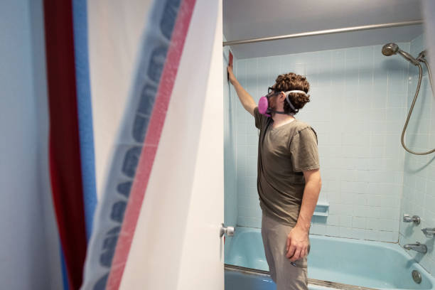 Best HVAC Mold Inspection and Cleaning  in Lakeland, NY