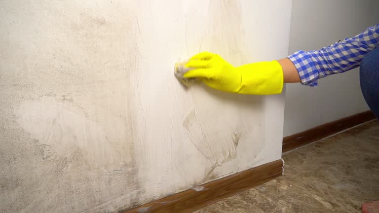 Best Commercial Mold Inspection  in Lakeland, NY