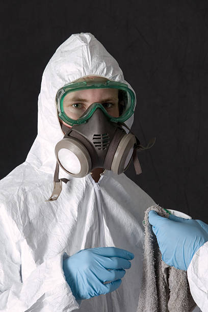 Best Mold Damage Restoration  in Lakeland, NY